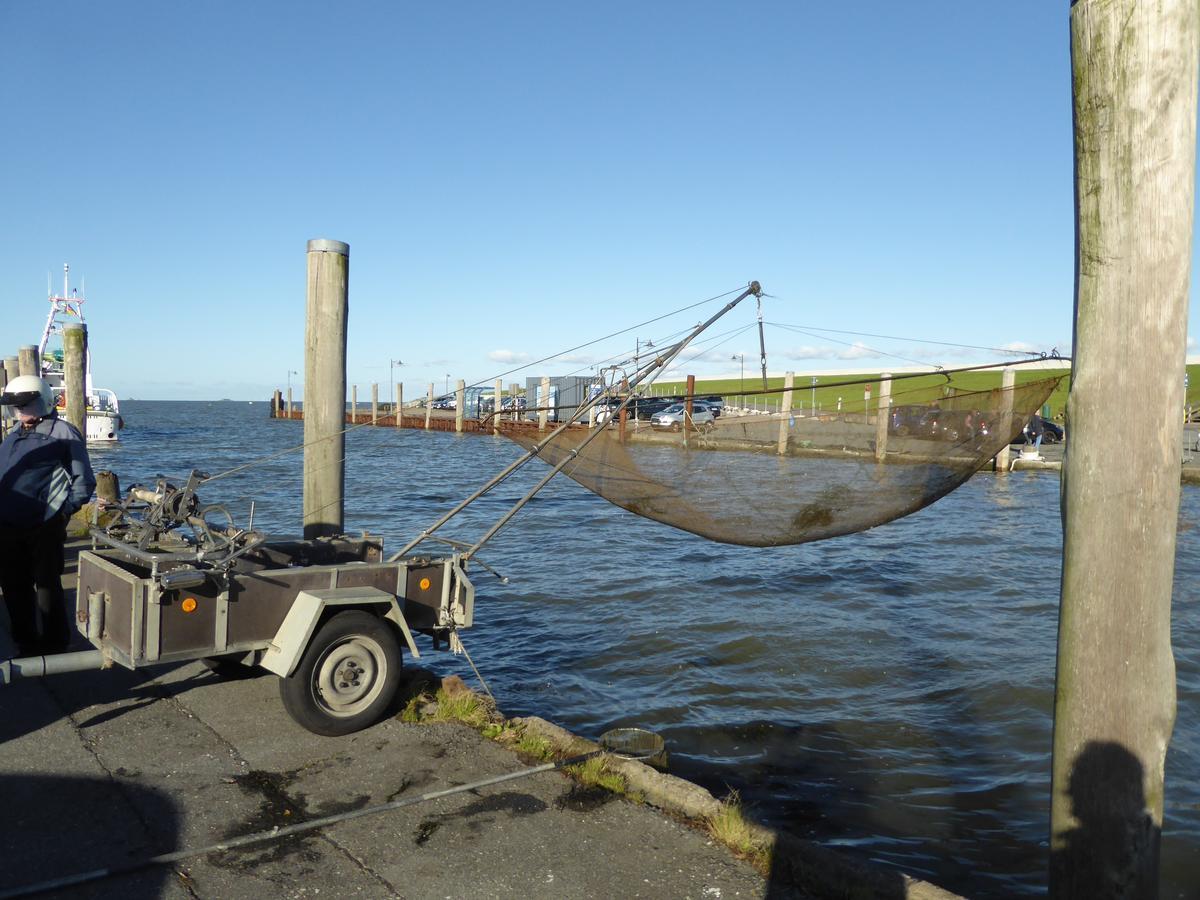 Ferienwohnungen Im Osterkoog Nordstrand Exteriör bild